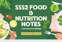 SSS2 Food and Nutrition Lesson Notes- Second Term