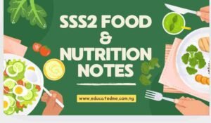 SSS2 Food and Nutrition Lesson Notes- Second Term