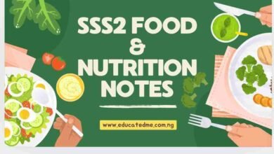 SSS2 Food and Nutrition Lesson Notes- Second Term