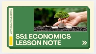 SS1 Economics Lesson Note- Second Term